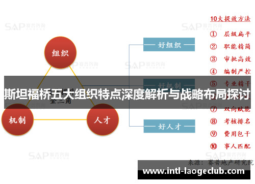 斯坦福桥五大组织特点深度解析与战略布局探讨